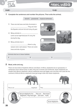 28
Photocopiable©SantillanaEducación,S.L.4
1	 Complete the sentences and number the pictures. Then write the animal.
2	 Read, write and say.
Name : Class :
Animal habitats
1	 There are tall trees and lots of animals in
. They are near
the Equator and are hot and rainy all year.
2	 Many animals in
come out at night because it’s very hot
during the day.
3	 Many animals live in
, there’s a dry
season and a wet season. There are some
trees and lots of grass.
There are two kinds of elephant: African and Asian. In Africa, elephants live on grasslands, in
rainforests and in desert areas. In Asia, they live in forests and rainforests. Asian elephants are
smaller than African elephants. African elephants have got bigger ears and their ears look like the
continent of Africa! African elephants have got longer tusks than Asian elephants.
1	 2	 3	
Animals that live in these habitats:
Asian elephants … .
African elephants live ... . They are … than Asian
elephants. They have got … ears and … tusks.
This is an elephant. This .
deserts grasslands tropical rainforests
 