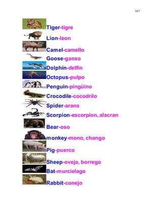167
Tiger-tigre
Lion-leon
Camel-camello
Goose-ganso
Dolphin-delfin
Octopus-pulpo
Penguin-pingüino
Crocodile-cocodrilo
Spider-arana
Scorpion-escorpion, alacran
Bear-oso
monkey-mono, chango
Pig-puerco
Sheep-oveja, borrego
Bat-murcielago
Rabbit-conejo
 