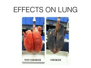 EFFECTS ON LUNG
 