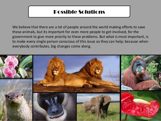 Ingles especies en extincion