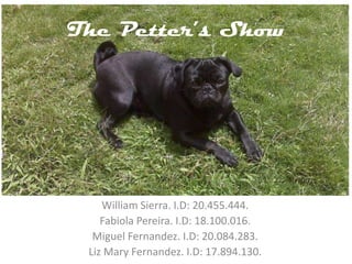 The Petter’s Show William Sierra. I.D: 20.455.444. Fabiola Pereira. I.D: 18.100.016. Miguel Fernandez. I.D: 20.084.283. Liz Mary Fernandez. I.D: 17.894.130. 