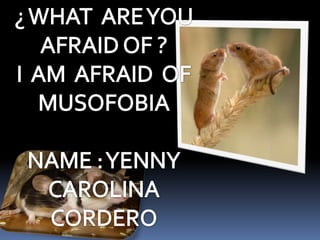 ¿ WHAT  ARE YOU  AFRAID OF ? I  AM  AFRAID  OF MUSOFOBIA   NAME : YENNY CAROLINA CORDERO 