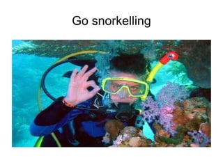 Go snorkelling 