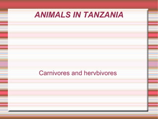 ANIMALS IN TANZANIA
Carnivores and hervbivores
 