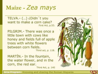 Maíze - Zea mays
TELVA.- (…) ¿Didn´t you
want to make a corn cake?
                    First Act, p.53.

PILGRIM.- There was once a
little town with cows like
honey and fields full of apple
trees with white flowers
between corn fields.
                  Third act, p. 118.

MARTÍN.- In the fountain,
the water flower, and in the
corn, the red ear.
                  Third Act, p. 140
 