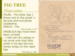 FIG TREE
Ficus carica
FALÍN.- The other day I
threw one to the priest´s
fig tree and everybody
scoldedme.
ADELA.- The
              Acto tercero, p. 97
ANGÉLICA.figs must have
been unriped
- I still see him asleep in
my arms with that little
smile in his lips like two
honey drops on the riped
figs
               Third Act, p. 138.
 