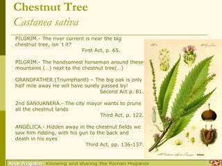 Chestnut Tree
Castanea sativa
PILGRIM.- The river current is near the big
chestnut tree, isn´t it?
                          First Act, p. 65.

PILGRIM.- The handsomest horseman around these
mountains (…) next to the chestnut tree(…)

GRANDFATHER (Triumphantl) – The big oak is only
half mile away He will have surely passed by!
                                  Second Act p. 81.

2nd SANJUANERA.- The city mayor wants to prune
all the chestnut lands
                              Third Act, p. 122.

ANGÉLICA.- Hidden away in the chestnut fields we
saw him ridding, with his gun to the back and
death in his eyes
                            Third Act, pp. 136-137.
 