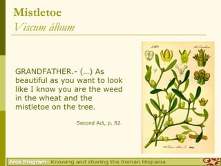 Mistletoe
Viscum álbum


GRANDFATHER.- (…) As
beautiful as you want to look
like I know you are the weed
in the wheat and the
mistletoe on the tree.

                Second Act, p. 82.
 
