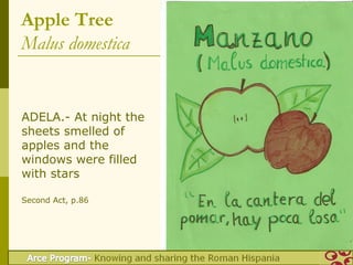 Apple Tree
Malus domestica


ADELA.- At night the
sheets smelled of
apples and the
windows were filled
with stars

Second Act, p.86
 