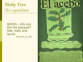 Holly Tree
Ilex aquilolium

 QUICO.- ¿Do you
 like the bouquet?
 Oak, holly and
 laurel.
       Third Act, p. 102.
 