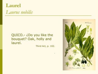 Laurel
Laurus nobilis



  QUICO.- ¿Do you like the
  bouquet? Oak, holly and
  laurel.
                 Third Act, p. 102.

                                  .
 