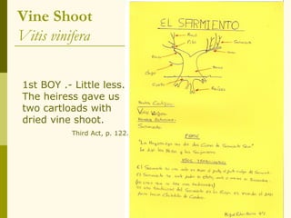 Vine Shoot
Vitis vinifera

1st BOY .- Little less.
The heiress gave us
two cartloads with
dried vine shoot.
           Third Act, p. 122.
 