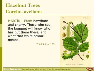 Hazelnut Trees
Corylus avellana
 MARTÍN.- From hawthorn
 and cherry. Those who see
 the bouquet will know who
 has put them there, and
 what that white colour
 means.
                 Third Act, p. 126.
 
