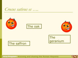 Crocus sativus es ….


                The oak


                          The
                          geranium
  The saffron
 
