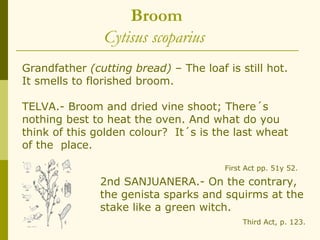 Broom
                Cytisus scoparius
Grandfather (cutting bread) – The loaf is still hot.
It smells to florished broom.

TELVA.- Broom and dried vine shoot; There´s
nothing best to heat the oven. And what do you
think of this golden colour? It´s is the last wheat
of the place.

                                       First Act pp. 51y 52.

               2nd SANJUANERA.- On the contrary,
               the genista sparks and squirms at the
               stake like a green witch.
                                            Third Act, p. 123.
 