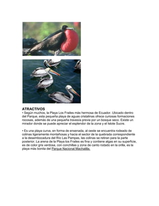 ATRACTIVOS
• Según muchos, la Playa Los Frailes más hermosa de Ecuador. Ubicado dentro
del Parque, esta pequeña playa de aguas cristalinas ofrece curiosas formaciones
rocosas, además de una pequeña travesía previa por un bosque seco. Existe un
mirador donde se puede apreciar el esplendor de la zona y el Islote Sucre.

• Es una playa curva, en forma de ensenada, al oeste se encuentra rodeado de
colinas ligeramente montañosas y hacia el sector de la quebrada correspondiente
a la desembocadura del Río Las Pampas, las colinas se retiran para la parte
posterior. La arena de la Playa los Frailes es fina y contiene algas en su superficie,
es de color gris verdosa, con conchillas y zona de canto rodado en la orilla, es la
playa más bonita del Parque Nacional Machalilla.
 
