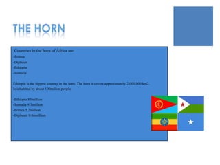 Countries in the horn of África are:
-Eritrea
-Dijibouti
-Ethiopia
-Somalia

Ethiopia is the biggest country in the horn. The horn it covers approximately 2,000,000 km2.
Is inhabited by about 100millon people:

-Ethiopia 85million
-Somalia 9.3million
-Eritrea 5.2million
-Dijibouti 0.86million
 