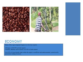 States of the region depende largely on a few key exports:

-Ethiopia: Coffe 80% of total exports
-Somalia: Bananas and livestock over 50% of total exports

Over 95% of cross-border trade within the region is unofficial and undocumented, carried out by
pastoralists trading livestock.
 