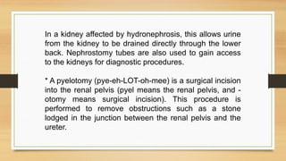 ingles presentacion dylisis prochida.pptx