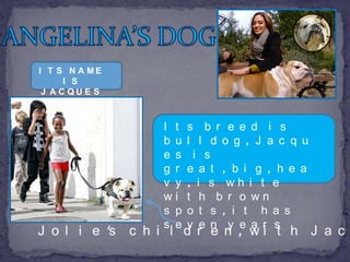 I T S N A ME
     I S
 J ACQUE S



                  I t   s b r e e d i s
                  b u   l l d o g , J a c q u
                  e s    i s
                  g r   e a t , b i g , h e a
                  v y   , i s wh i t e
                  wi    t h b r o wn
                  s p   o t s , i t h a s
J o l i e 's c h i l d r e n , w i t h J a c
                  s e   v e n y e a r s
 