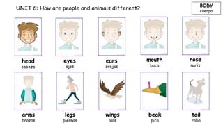 UNIT 6: How are people and animals different?
head
cabeza
eyes
ojos
ears
orejas
mouth
boca
nose
nariz
arms
brazos
legs
piernas
wings
alas
beak
pico
tail
rabo
BODY
cuerpo
 
