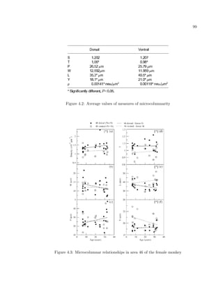 ne the properties 
of a given correlative structure. To do this, we quantitatively measure features inside of the 
density map. For a given density map as shown in Fig. 2.18 properties are measured such 
as the column strength, periodicity of the microcolumn, width, and length. With respect to 
strength, these measurements are determined by the relative density inside verses outside 
of certain areas within the density map. With respect to width, a summation of rows of 
the density map can be made, then the width of the main peak outside of the noise of the 
image is measured. With respect to periodicity, a similar summation of rows is performed, 
then a peak-to-peak measurement is made. 
Quantitative measurement are extracted from the density map shown in Fig. 2.18, like 
the distance between columns, length and width of columns, and strengths of columnar 
properties, which are the relative tendency for cells to be in certain locations with respect 
to one another. The strengths are calculated by measuring the relative dierence in density 
of a particular small region of interest (roi) compared to the density average of the entire 
density map region of interest (ROI): 
 