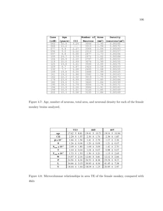 35 
Figure 2.20: Example of a grid of sampling regions within the infragranular layers (5,6) 
of the rat. Notice that the sampling regions have been rotated according to the general 
coordinate system of the gray matter: perpendicular to the pia and white matter surface. 
and the properties acquired with ANRA within the running window are used for spatial 
measurements. The analysis window is lengthened or shortened depending on the number 
of data points (neurons) that are needed for a statistically signi 