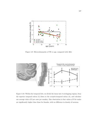 cant measurement (see 
Sec. 2.3.3). Therefore, properties are recorded through a direction parallel to the pia surface 
in the gray matter (See Fig. 5.3 and Fig. 5.4). This type of measurement straddles the two 
previously mentioned, by grabbing a maximum amount of statistics spanning a given layer, 
but observing changes of the cortex as the probe moves through the tissue. Preliminary 
results using this type of method show that there are fundamentally dierent structures of 
microcolumnar structure in dierent subjects in the same regions of the brain. 
Measurement error 
Because of the biological noise as well as recognition noise (from the automatic recognition 
measurements discussed in Sec. 3.3.2), there is a need to determine what amount of variation 
from the real values (values obtained if unlimited data of similar spatial arrangement was 
available) called biological variance occurs depending on how many particles are incorpo- 
 