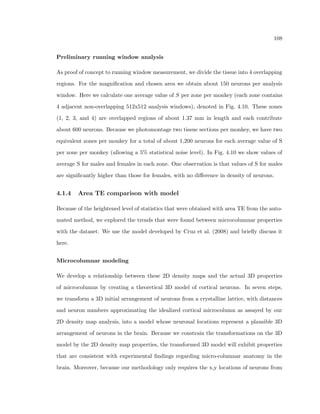36 
rated in a given measurement. This variation determines the resolution we can see changes 
in neuron spatial organization across the cortex. We investigate this relationship between 
noise, sample size and resolution for all of the measures implemented in the study. We 
investigate these properties explicitly by introducing known distributions of noise into the 
analysis calculations. We also empirically determine variance levels by modeling biological 
and recognition variance into a model of neuron organization. 
It is possible to estimate the upper limit of error that is obtained with such a measure-ment 
by assuming that the cell information is randomly distributed throughout the tissue. 
Here we follow the logic of Buldyrev et al. (2000), but adapt the question from one of being 
able too see a statistically signi 