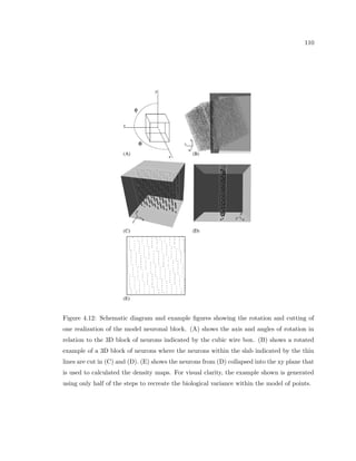 cance in a 
measurement over a given ROI. For such a random sample, the average number of cells 
 ni  in the measurement area (such as the column strength area in Fig. 2.18) is repre-sented 
by a, where  is the average density of cells and a is the area of the measurement 
window. The standard deviation of the cell count in a Poisson distribution is given as 
p 
 ni . The standard deviation of the density in area a is then 
 = 
p 
a 
a 
= 
r 
 
a 
(2.9) 
The  