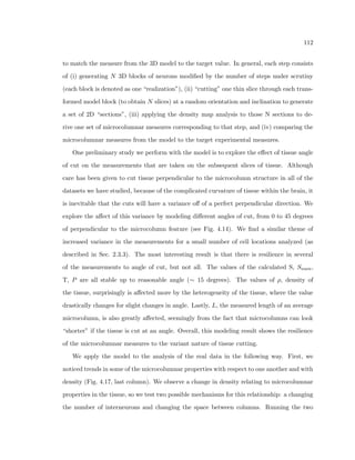37 
Figure 2.21: (left) Microcolumnar strength changes in young vs old monkeys (Cruz et al., 
2004). (right) 10 random selections of images from each cohort (old, green, lower measure, 
and young, purple, higher measure), number of images correspond to total neurons within 
the images selected. For two measurements of roughly 10% dierence (1.3 vs 1.15), the 
number of neurons needed is around 500 to reach a result of signi 