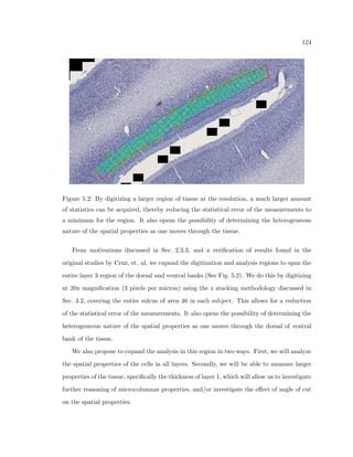 rewire 
capabilities (see Fig. 3.1). The computer controls the appropriate coordination of moving 
the stage and the camera. 
A set of tissue samples is digitized in the following way. First, The optical pathway for 
the particular resolution desired is set up on the microscope. This includes the focusing 
of the light on the tissue sample (Kohler illumination), and aligning all light diaphragms 
to minimize stray rays of light through the optical pathway. The amount of light that is 
allowed to pass through the tissue is maximized by disabling all  