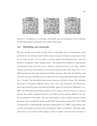 eld, whereas the thickness of the tissue is 8m. This makes some of the features 
out of focus with this objective. By taking 5 pictures at 2m steps, every feature in the 
tissue is guaranteed to be in focus in at least one image. These images can be stacked 
together to create one image using the information from all of them in the following way: 
each pixel in the  