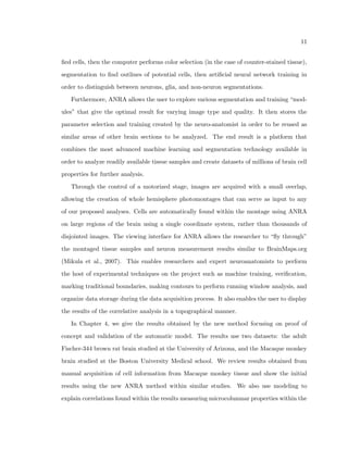 ndings of this study on focal cortical displacias in epilep-tic 
patients. How is the alignment of the neurons in a speci 