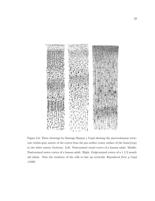 6 
Hof, 2005). 
Although there are many bene 