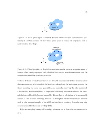 eld. Our method enables such studies in neuroanatomy 
research, and therefore can open new pathways to discover underlying principles of anatom-ical 
organization. 
There are several technologies that allow this type of analysis. First, the data transfer 
and storage capacities needed to inexpensively store terabytes of brain tissue image data 
has only recently become available. Also, the computing power to measure millions of neu-ron 
properties from slices of brain tissue in a timely manner has also only recently become 
available. Furthermore, the advances in CCD imaging technology and computer operated 
microscope stages now allow for high speed digitization of the tissue to be automatically an-alyzed 
by a computer. Lastly, ecient machine learning algorithms have become advanced 
enough to solve complex automatic recognition problems. This type of development in fast 
 