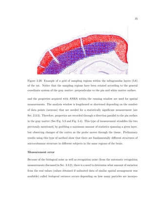 cant measurement. 
Because of the biological noise, recognition error (from the automatic recognition mea-surements), 
and the dependence of the statistical measurements on the complex coordinate 
system of the brain, there is a need to validate the data recognition and measurement 
tools on a model of cells. These types of validation studies using models are an attempt 
to be as true as possible to the high standards that Stereology has bring to the study of 
neuroanatomy. We do this by determining the eects of recognition and orientation on 
the ability to discern subtle changes in the measurements as we either probe the tissue, or 
pass across the tissue in the running window analysis. One main goal is to determine what 
amount of variation from the real values (values obtained if unlimited data of similar spatial 
arrangement was available) occurs depending on how many particles are incorporated in 
 