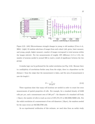 cant 
measurements of spatial organization within the brain such as nearest-neighbor and micro-columnarity 
measurements, as well as enable investigations on the heterogeneity of neuron 
properties within a given region. As mentioned earlier, the acquisition of such numbers of 
neurons by manually or semi-automatically identifying and marking the location of each is 
prohibitively time-consuming and open to user bias. ANRA is the experimental technique 
that allows the acquisition of such large numbers of neuron properties with the maximal 
eciency and accuracy aorded by current computing techniques. 
ANRA automatically obtains the (x,y,z) location of individual cells (along with proper-ties 
such as observed size, shape, and type of neuron or glial cell) within digitized images 
of single or multiple stained tissue. Nissl-staining has the unique advantage of being the 
least expensive, easiest applied, and most durable method for staining both neurons and 
glia. Stores of archival brain tissue that exist in laboratories and research collections around 
the world is stained with the Nissl method. Proper identi 