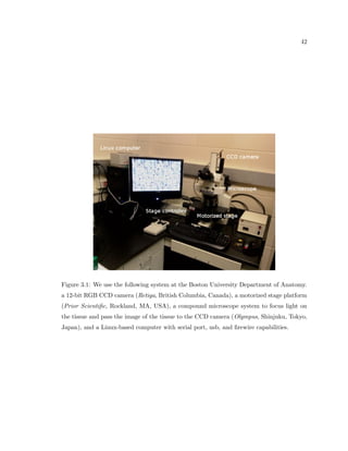 nd outlines of potential cells, then arti 