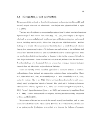re it's own signal from its axon, 
a signal that is then picked up by the dendrites of other processes. The signals that enter 
the cell body from the dendrites (and sometimes from the surface of the cell body) do not 
aect the  