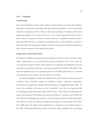 15 
Figure 2.2: Examples of astrocyte glial cells, named for their star-like shape. The astrocyte 
on the left shows one of the projections attached to a blood vessel. Reproduced from Gray 
(1918) 
mention the following categorizations of neurons: the  