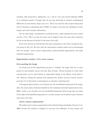 ned roles for the glial cells mentioned in the previous paragraph (ie: blood supply 
 