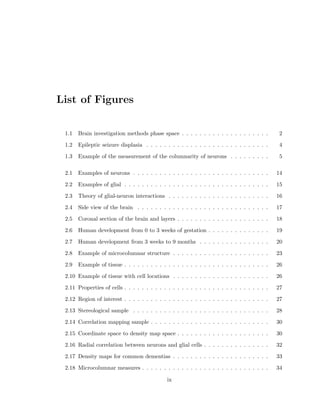 Contents 
1 Introduction 1 
1.1 Studying the brain with the brain . . . . . . . . . . . . . . . . . . . . . . . 1 
1.2 A need for quantitative spatial arrangement tools . . . . . . . . . . . . . . . 3 
1.3 Overview of dissertation . . . . . . . . . . . . . . . . . . . . . . . . . . . . . 8 
2 Theory and Literature Review 13 
2.1 Brain anatomy review . . . . . . . . . . . . . . . . . . . . . . . . . . . . . . 13 
2.1.1 Cell types in the brain . . . . . . . . . . . . . . . . . . . . . . . . . . 13 
2.1.2 Basic anatomy . . . . . . . . . . . . . . . . . . . . . . . . . . . . . . 17 
2.2 Spatial arrangement . . . . . . . . . . . . . . . . . . . . . . . . . . . . . . . 19 
2.2.1 Development . . . . . . . . . . . . . . . . . . . . . . . . . . . . . . . 19 
2.2.2 Aging and disease . . . . . . . . . . . . . . . . . . . . . . . . . . . . 21 
2.2.3 Mechanisms . . . . . . . . . . . . . . . . . . . . . . . . . . . . . . . . 22 
2.2.4 Cortical microcolumn . . . . . . . . . . . . . . . . . . . . . . . . . . 22 
2.3 Measurement theory . . . . . . . . . . . . . . . . . . . . . . . . . . . . . . . 25 
2.3.1 Raw data . . . . . . . . . . . . . . . . . . . . . . . . . . . . . . . . . 25 
2.3.2 Stereology . . . . . . . . . . . . . . . . . . . . . . . . . . . . . . . . . 25 
2.3.3 Correlation measurements . . . . . . . . . . . . . . . . . . . . . . . . 29 
3 Experimental Method 40 
3.1 Introduction . . . . . . . . . . . . . . . . . . . . . . . . . . . . . . . . . . . . 40 
3.2 Digital image acquisition . . . . . . . . . . . . . . . . . . . . . . . . . . . . . 41 
vi 
 