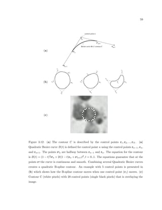 ring of neurons (6), and passing of neurotransmitter from one glial cell to another 
(7). This schematic shows a very dierent type of network in the brain than the traditional 
network comprised only of neurons. Reproduced from Paola and Andrea (2001) 
mediators), they have not been studied as thoroughly as the neuron population in terms 
of the network of the brain. However, other than this ability to  
