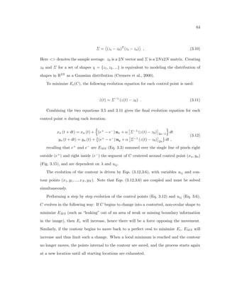 nal shape, these cells travel and migrate to  