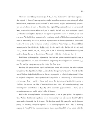 nal destinations in the brain, and begin to 
connect with one another (see Fig. 2.7). 
We highlight this development process and the dynamic nature of cell movement be-cause 
the disruption of this process is one of the main mechanisms that can aect spatial 
 