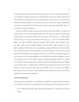 23 
Figure 2.8: Three drawings by Santiago Ramon y Cajal showing the microcolumnar struc-ture 
within gray matter of the cortex from the pia surface (outer surface of the brain)(top) 
to the white matter (bottom). Left: Nissl-stained visual cortex of a human adult. Middle: 
Nissl-stained motor cortex of a human adult. Right: Golgi-stained cortex of a 1 1/2 month 
old infant. Note the tendency of the cells to line up vertically Reproduced from y Cajal 
(1899) 
 