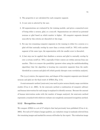24 
2.2.4 Cortical microcolumn 
In terms of age-related de 