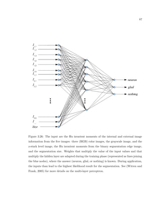 27 
Figure 2.10: Example of tissue sample from the rat brain with borders and neurons (green 
dots) and glial (blue dots) found (See Sec. 3 for steps to obtain points. 
Figure 2.11: Properties x,y,z location, observed size, and angular orientation from the same 
tissue sample depicted in Fig. 2.9 and Fig. 2.10. Neurons are green with a yellow spine 
marking their major orientation, and glial cells are blue. 
 
