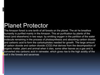 Planet Protector The Amazon forestisonetenth of allforestsontheplanet. The air he breatheshumanityispurifiedmainly in the Amazon. This air purificationbyplants of theforest (and elsewhere) in twoways: byemittingoxygen in thepartition of thewatermoleculeremaining in theprocess of photosynthesis and absorbingcarbondioxide and carbonicacidtoformthecarbohydratesneededforgrowth. Thelargeamount of carbondioxide and carbondioxide (CO2) that derives fromthedecomposition of organicmatter, plant and animal whenitdies, someotherleaves as a gas and isconvertedintocarbonicacid in rainwater, whichgivesrisetothehighacidity of thesoil in theforests and savannas